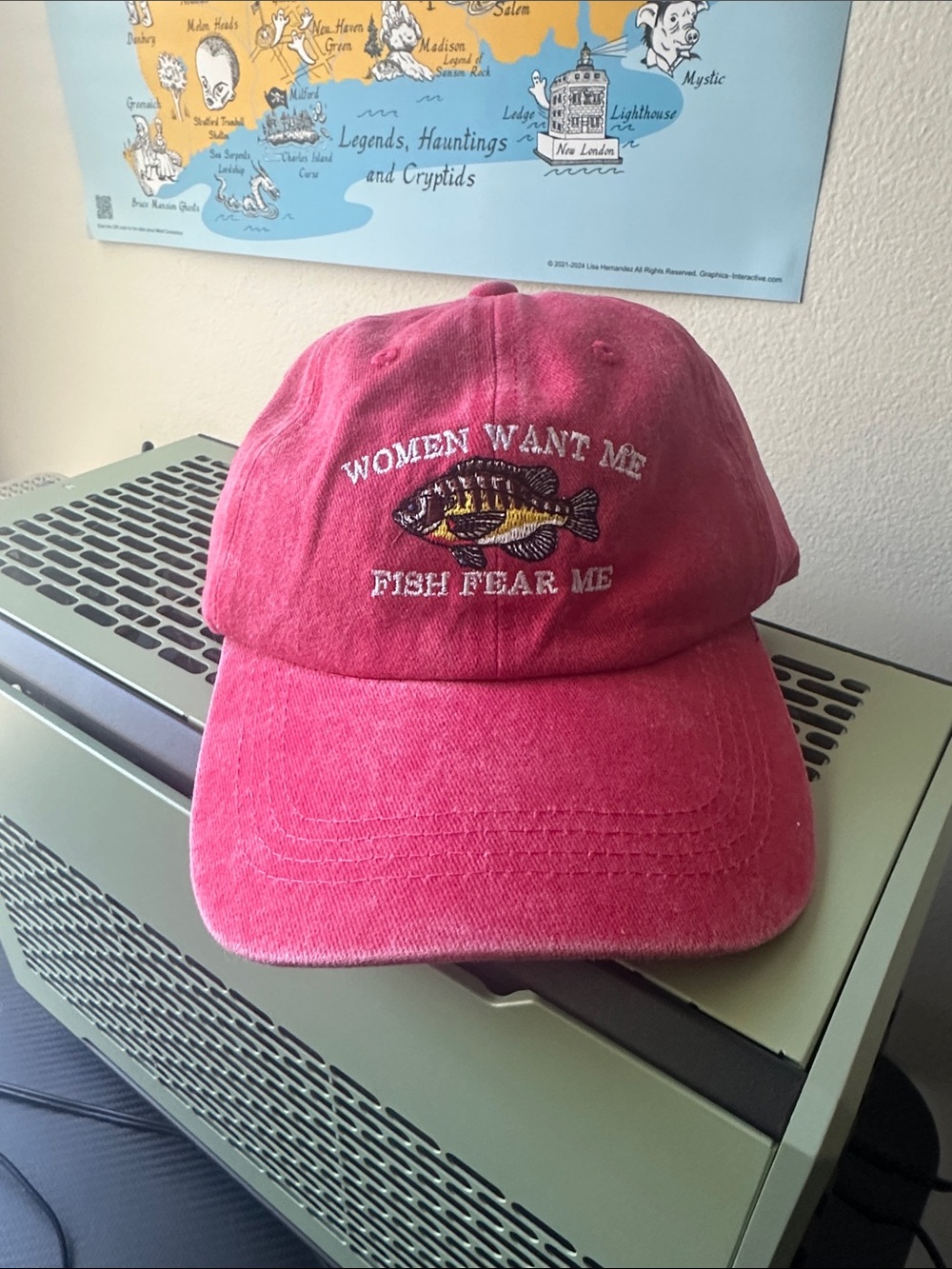 Women Want Me Fish Fear Me Funny Embroidered Cap Hat